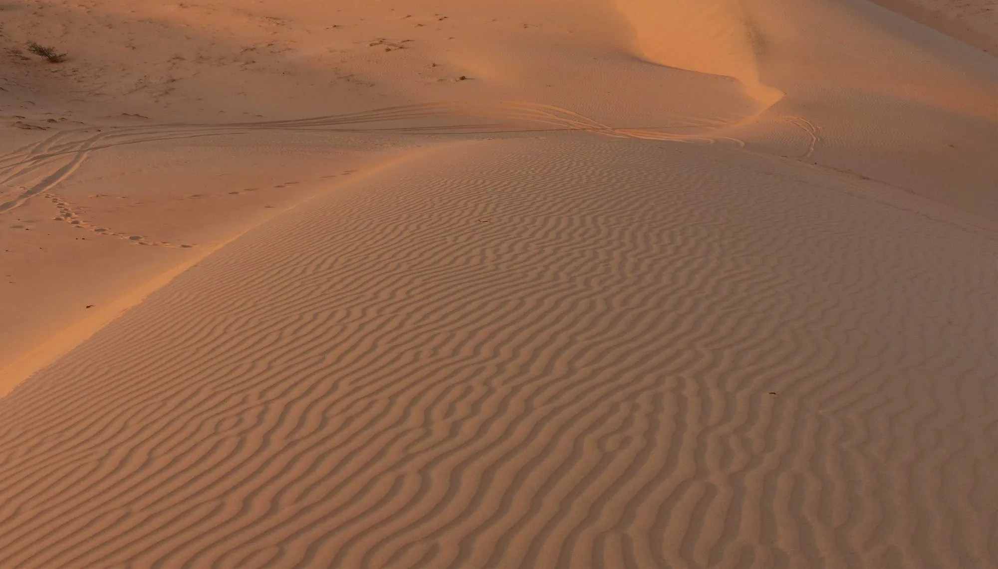 Les dunes de Lompoul au coucher du soleil