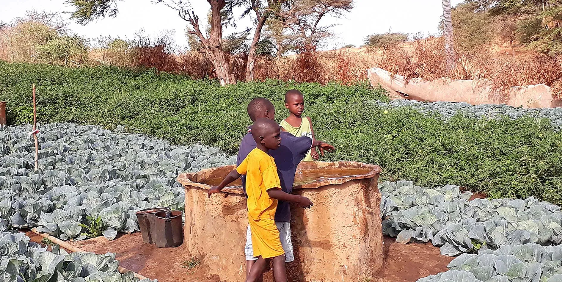 Enfants autour d'un puits à Lompoul