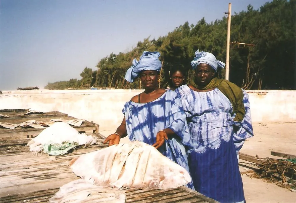 Visite 1995-2005, photo 8