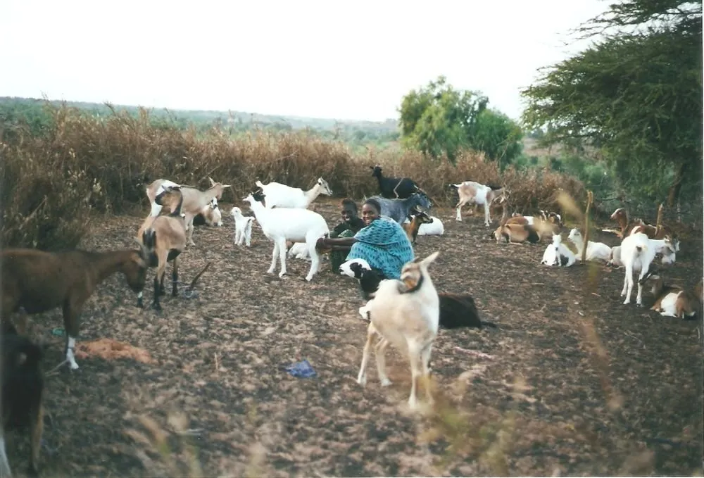 Visite 1995-2005, photo 14