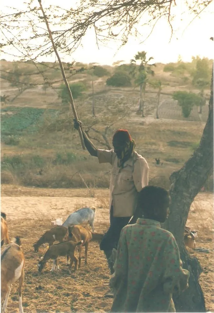 Visite 1995-2005, photo 23