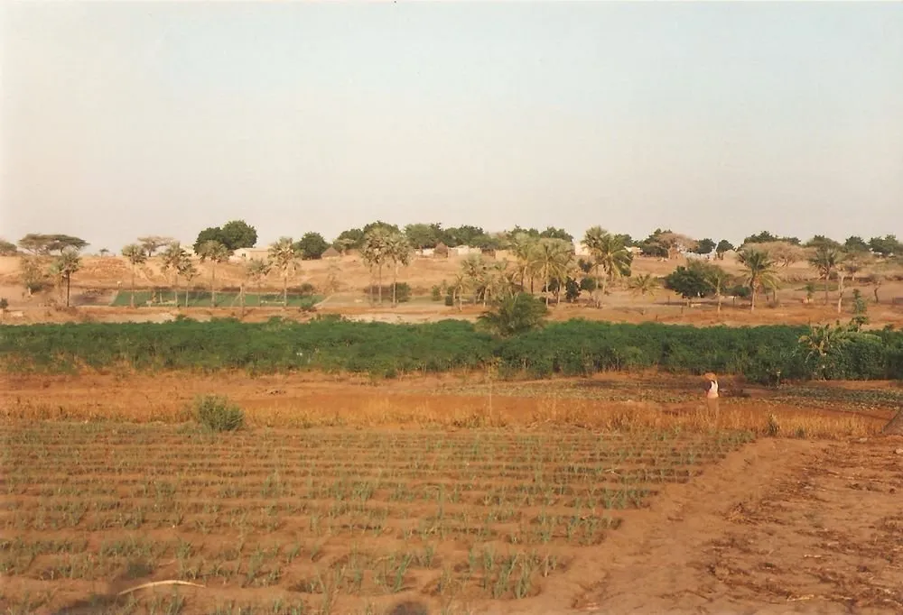 Visite 1995-2005, photo 36
