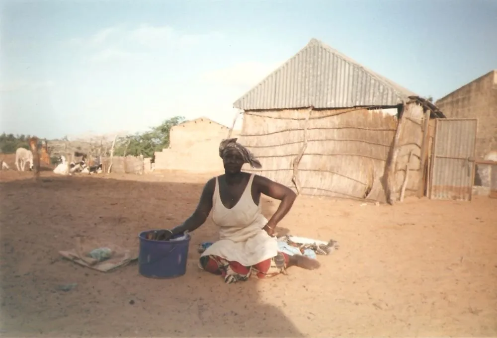 Visite 1995-2005, photo 38