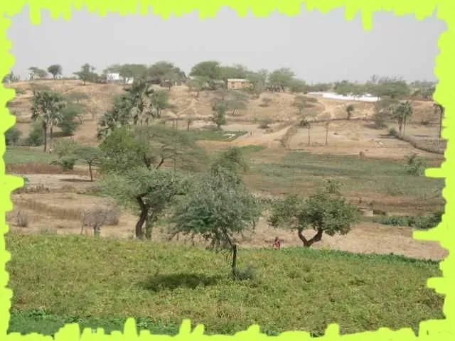 Visite 2006, photo 7