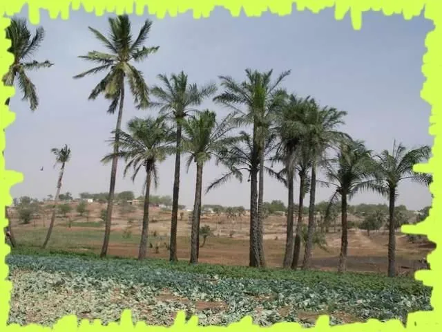 Visite 2006, photo 8