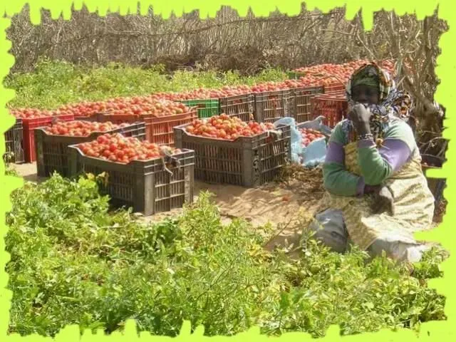Visite 2006, photo 10
