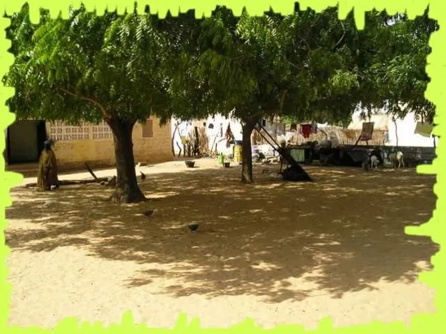 Visite 2006, photo 31