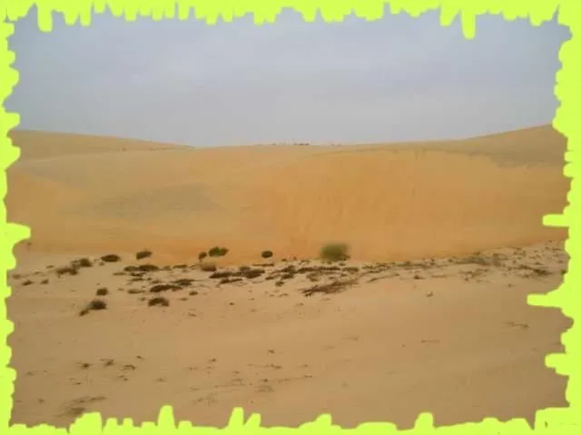 Visite 2006, photo 38