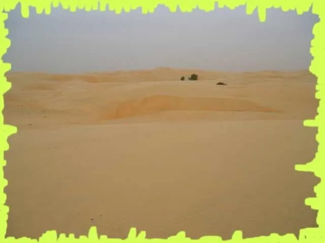 Visite 2006, photo 39