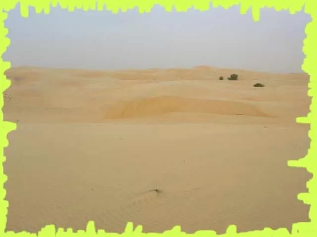 Visite 2006, photo 40