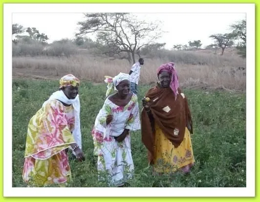Visite 2010, photo 1