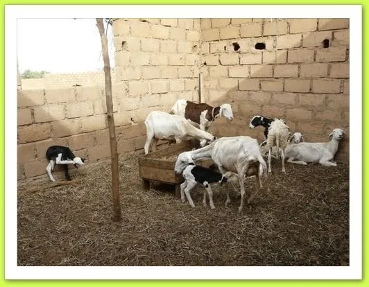 Visite 2011, photo 10