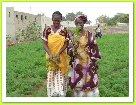 Visite 2011, photo 24