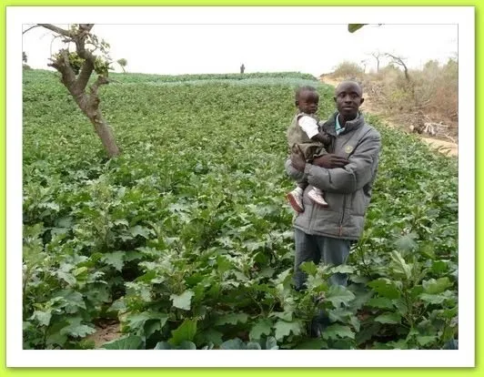 Visite 2011, photo 30