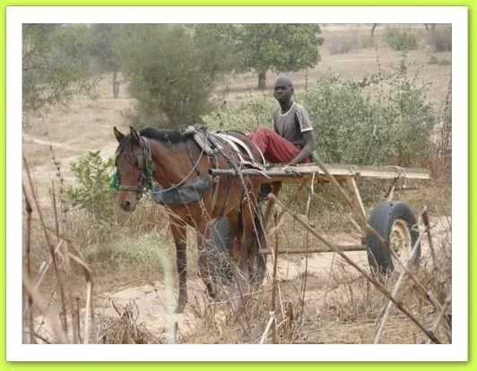 Visite 2011, photo 38