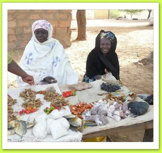 Visite 2012, photo 24