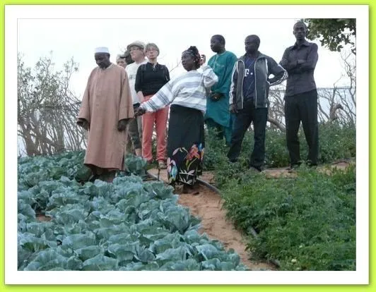 Visite 2012, photo 38