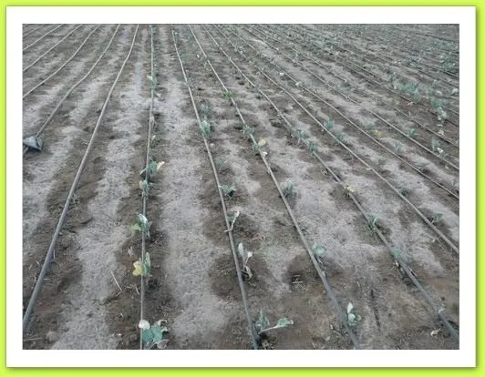 Visite 2012, photo 39