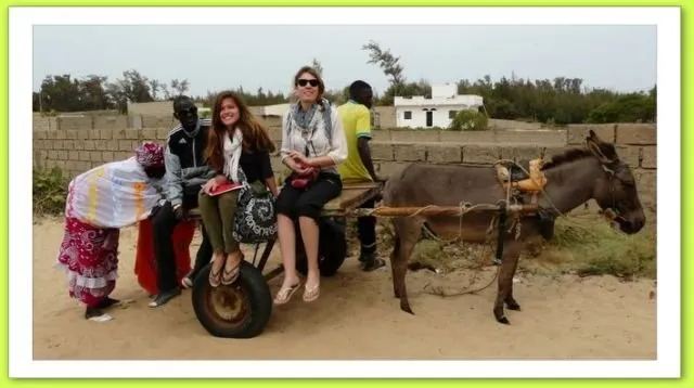 Visite 2015, photo 58