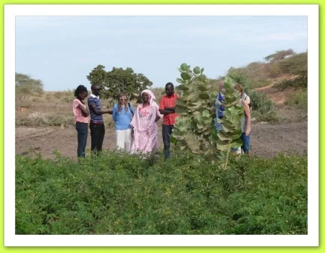 Visite 2015, photo 128