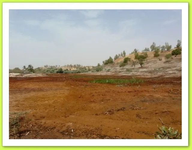 Visite 2015, photo 151