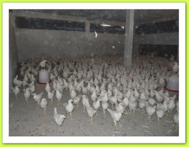 Visite 2015, photo 152