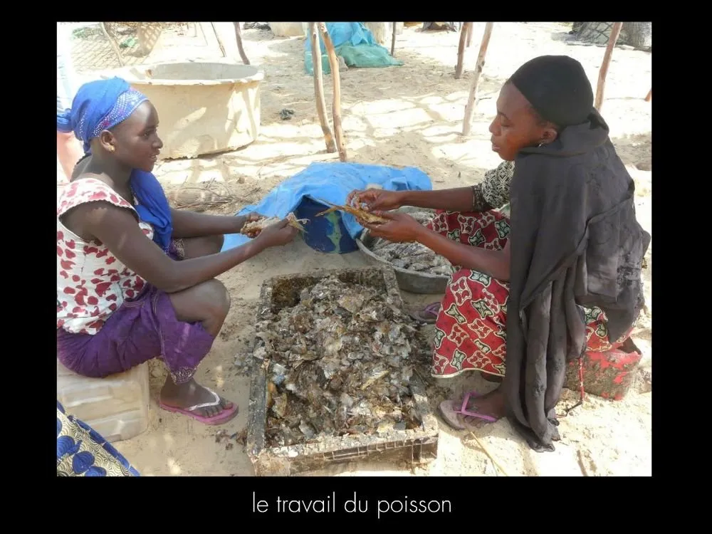 Visite 2016, photo 21