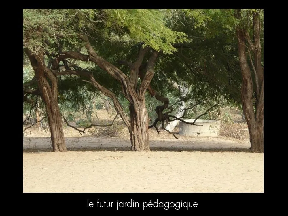 Visite 2016, photo 64