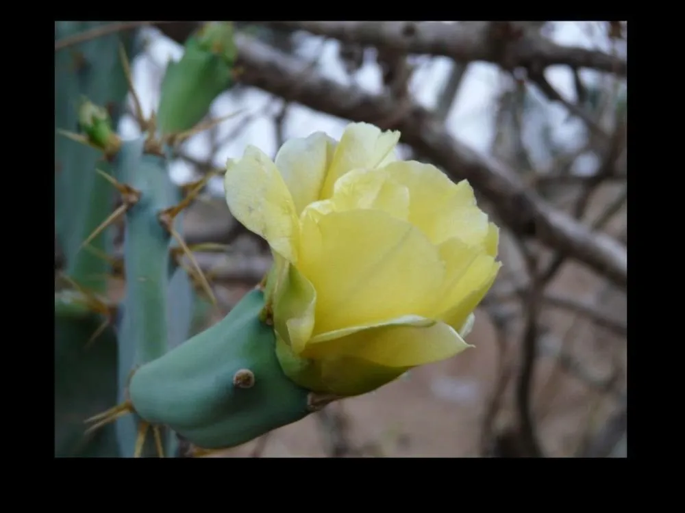 Visite 2016, photo 75