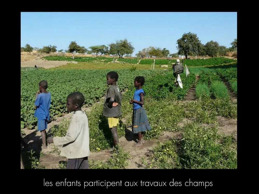 Visite 2016, photo 102