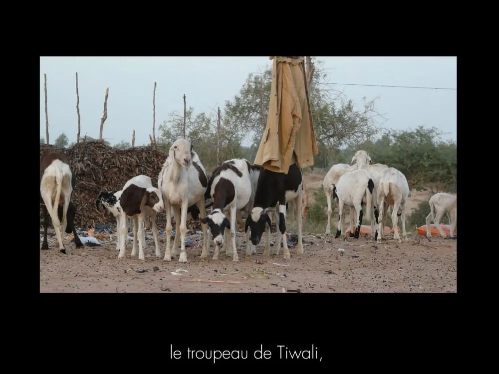 Visite 2016, photo 150