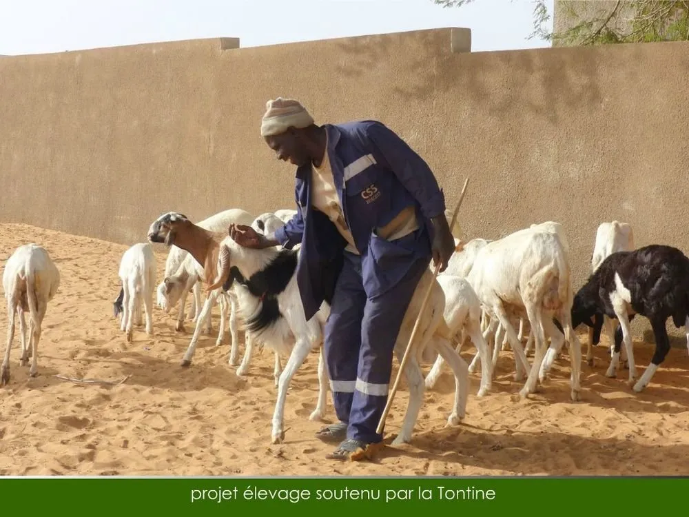 Visite 2018, photo 52
