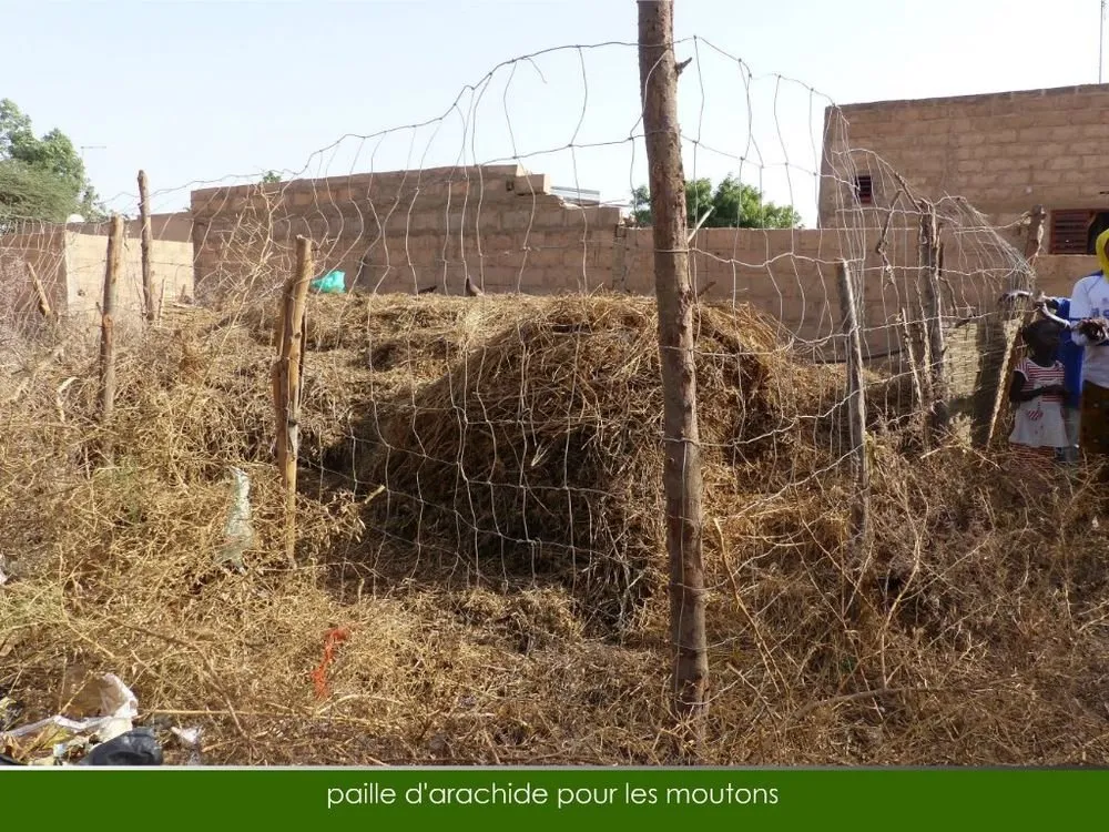 Visite 2018, photo 65
