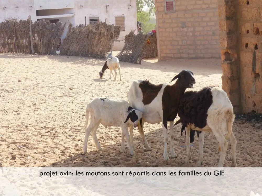 Visite 2019, photo 8