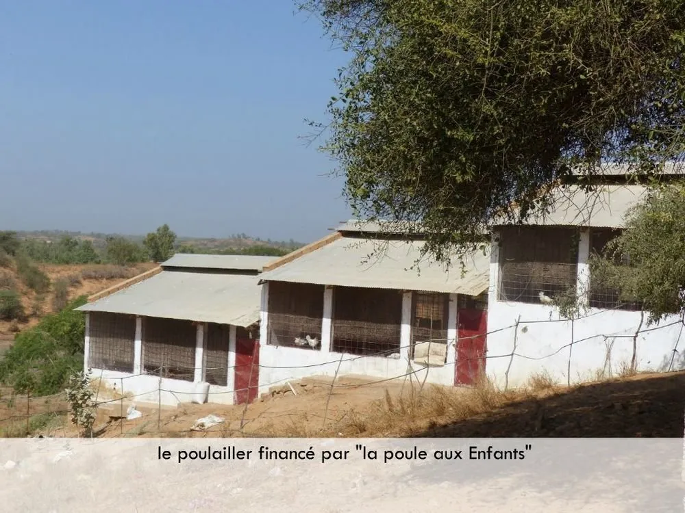 Visite 2019, photo 32