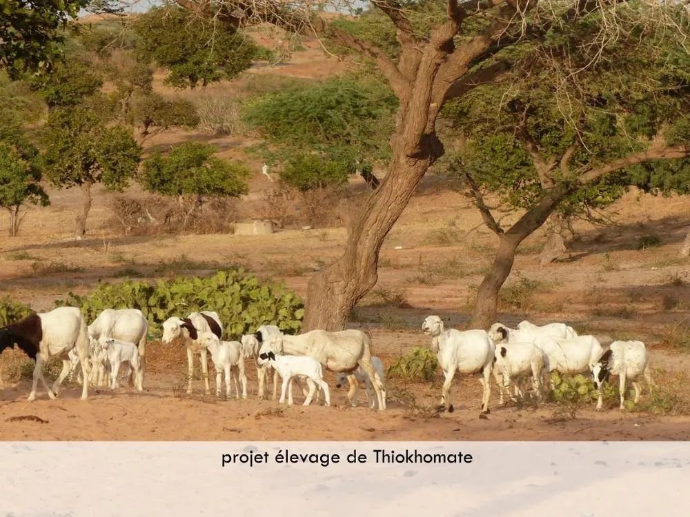 Visite 2019, photo 64