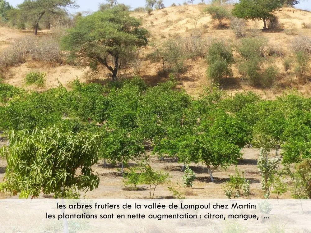 Visite 2019, photo 73