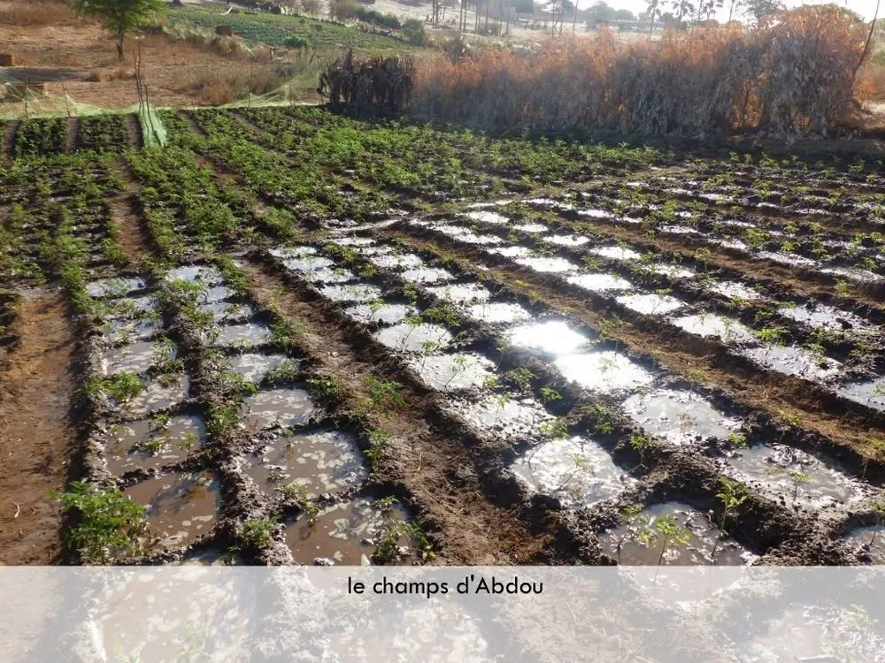 Visite 2019, photo 75