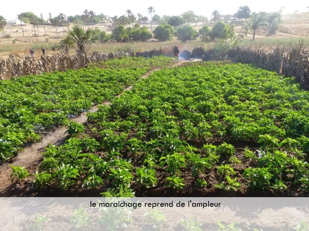 Visite 2019, photo 77