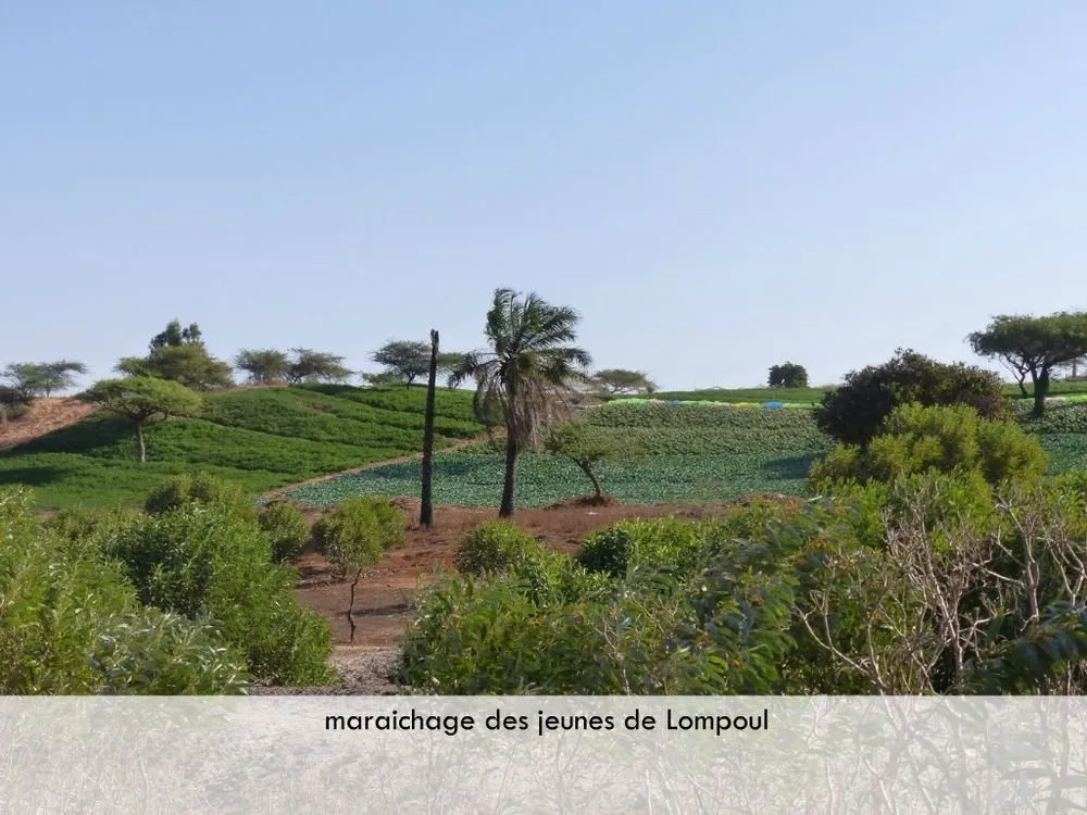 Visite 2019, photo 80