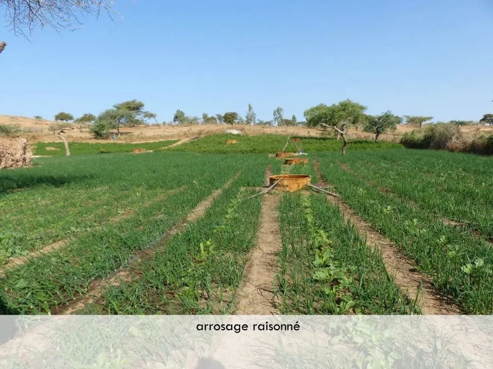 Visite 2019, photo 82