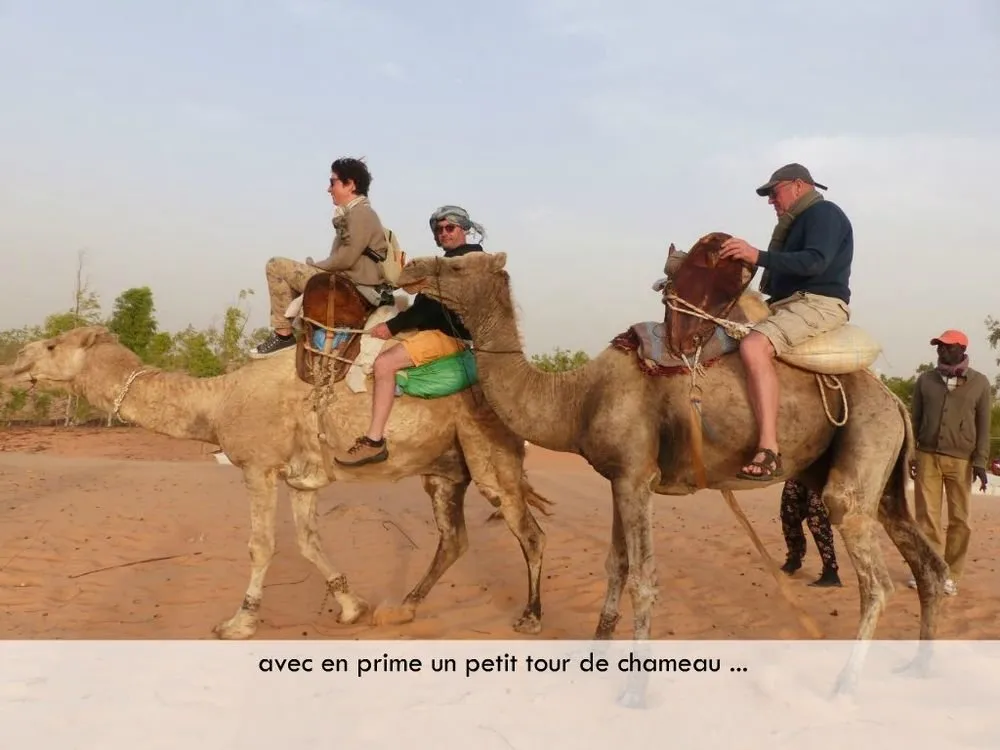Visite 2019, photo 90
