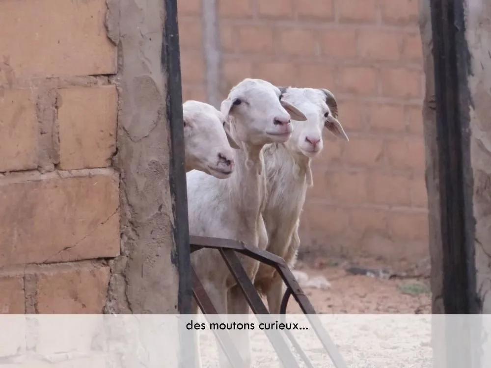 Visite 2019, photo 92