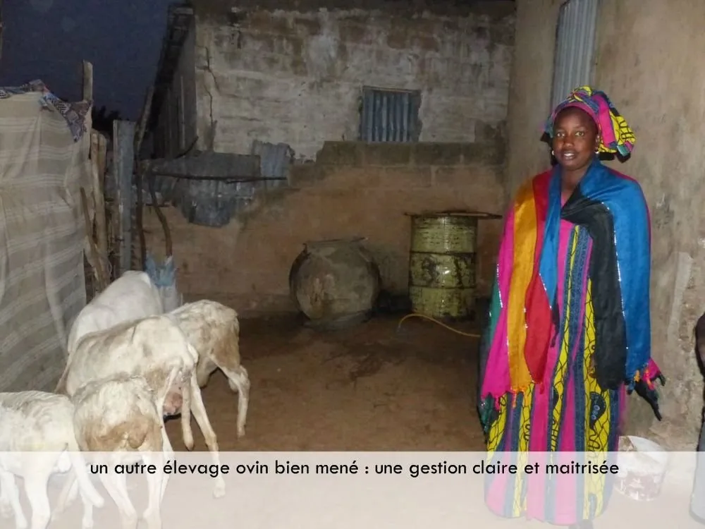 Visite 2019, photo 93