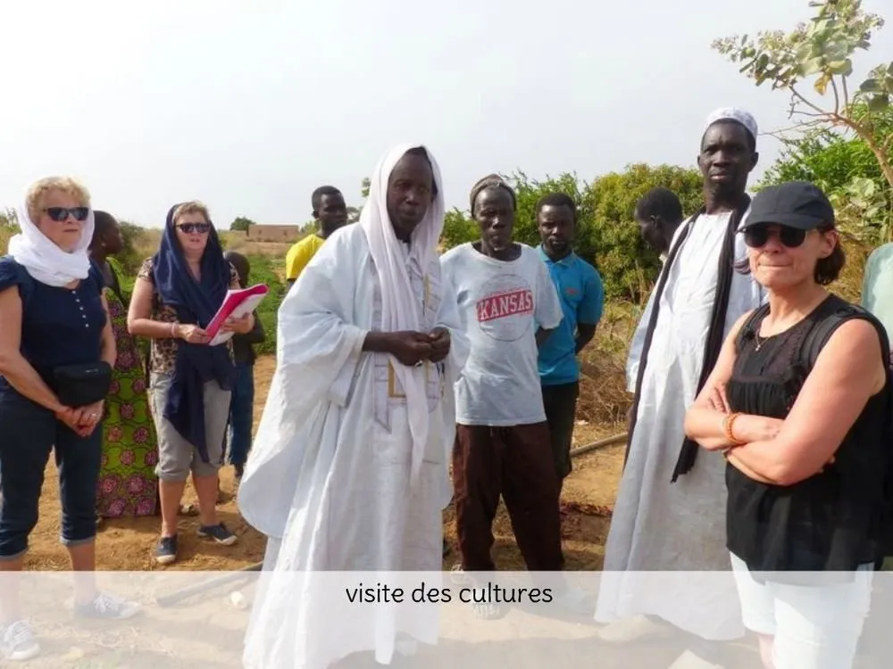 Visite 2020, photo 16