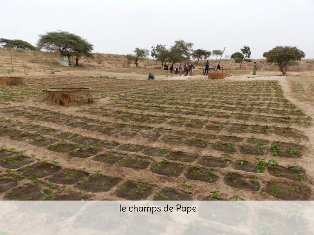 Visite 2020, photo 17