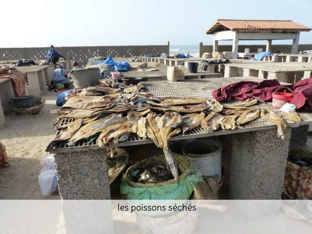 Visite 2020, photo 51