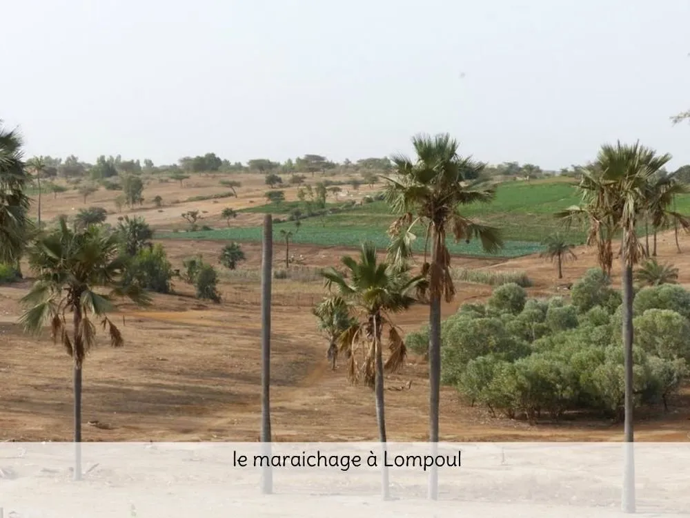 Visite 2020, photo 57