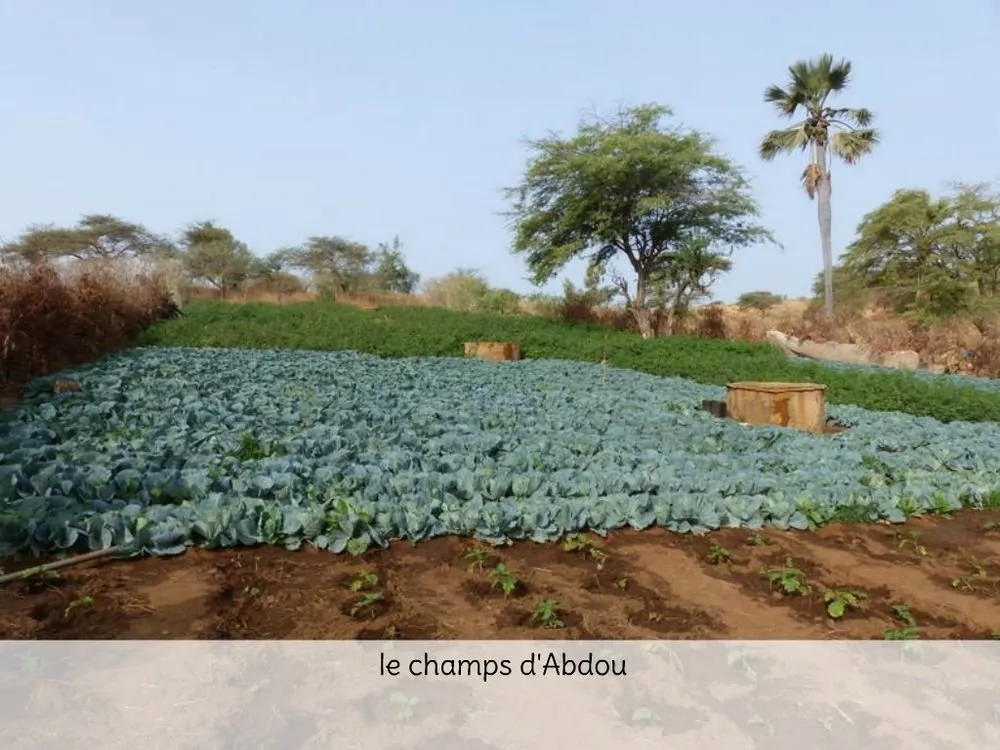 Visite 2020, photo 58