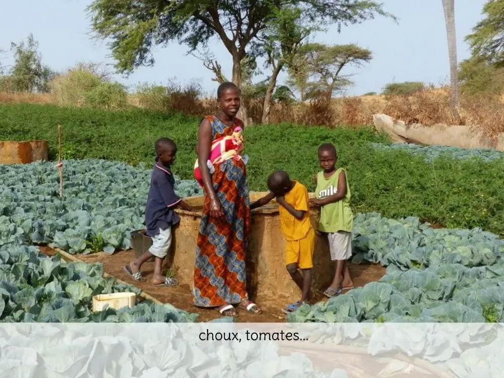 Visite 2020, photo 59